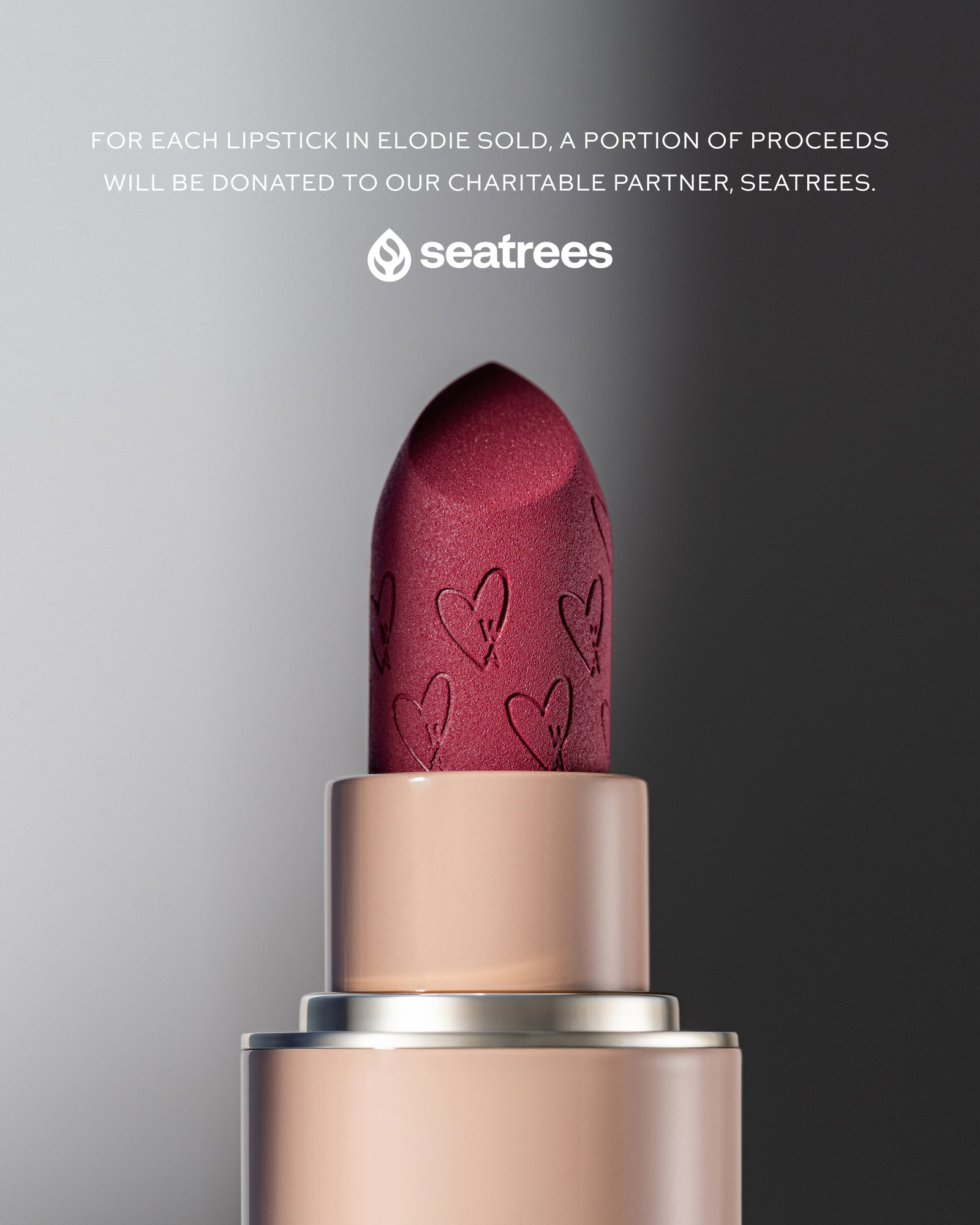 Lip Suede Matte Lipstick - Elodie